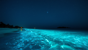 Ultra wide shot of Maldives glowing ocean shoreline at night, blue bioluminescence waves, starry sky reflection